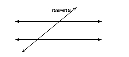 Angles Parallel Lines And Transversals Geometry