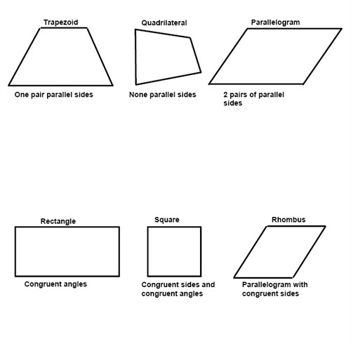 Quadrilaterals, polygons and transformations (Pre-Algebra